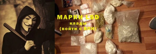 индика Абинск