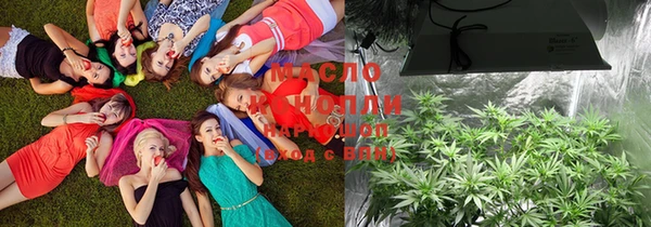 индика Абинск