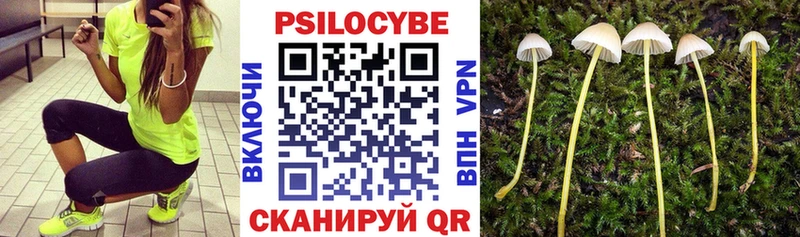 Псилоцибиновые грибы Psilocybine cubensis  Альметьевск 